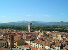 sostituzione tapparella lucca