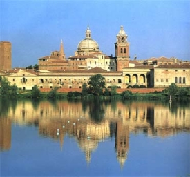 sostituzione tapparella mantova