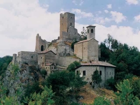 sostituzione tapparella carpineti